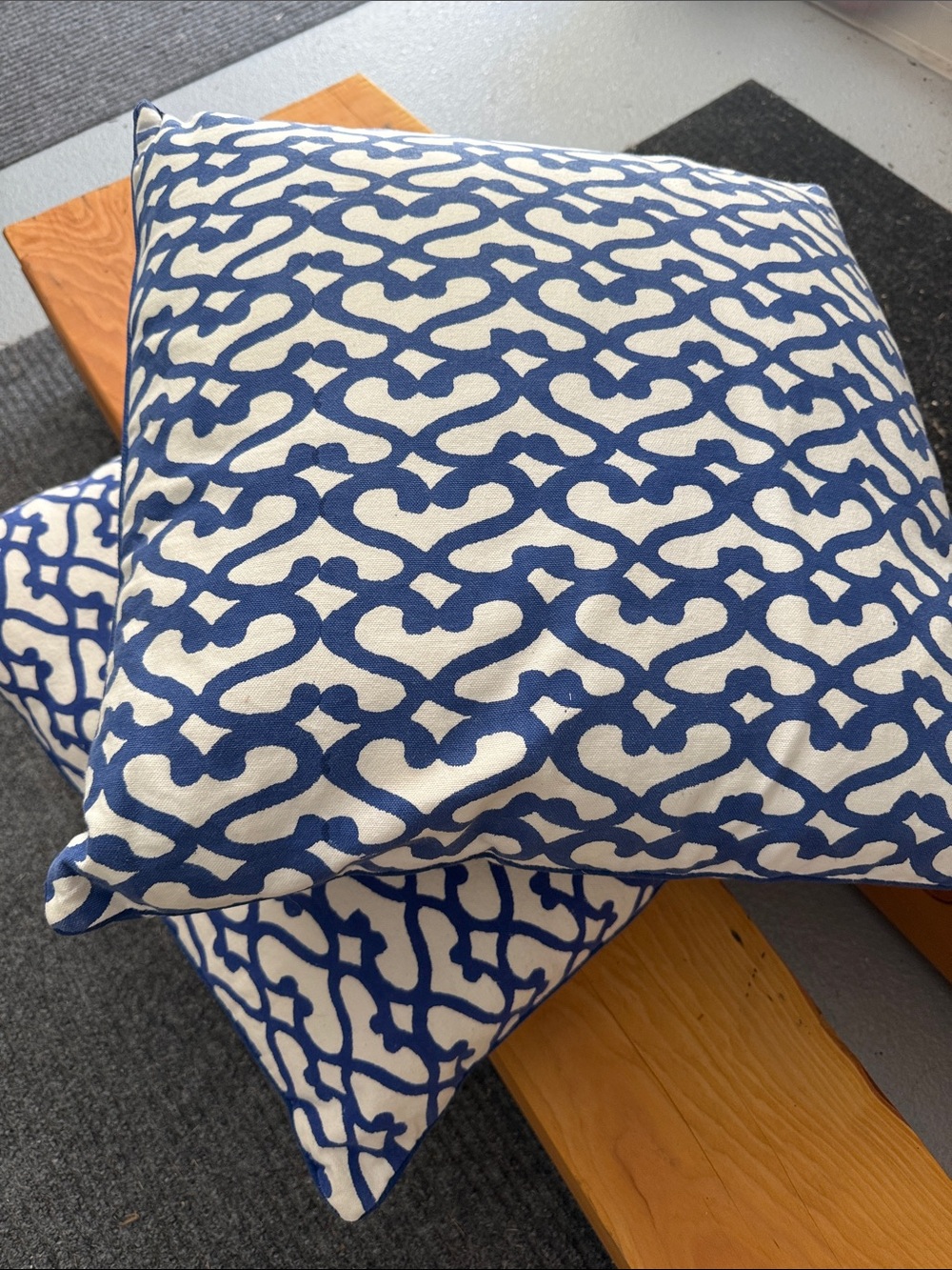 Roller Rabbit Euro Pillows